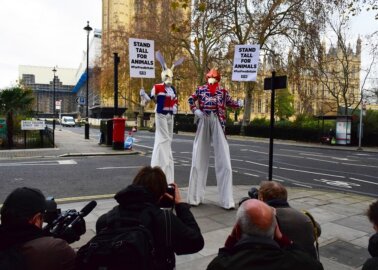 Protesters on Stilts ‘Stand Tall for Animals’ This Fur-Free Friday