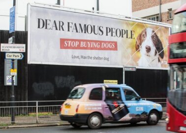 London Billboard Urges Celebs to Stop Fuelling Homeless-Animal Crisis