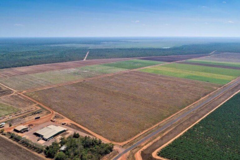 Louis Vuitton Crocodile Farms