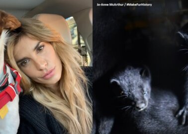 Elisabetta Canalis Wants Italy to Close Fur Farms