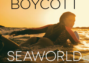 Lucie Donlan Slams SeaWorld in New PETA Campaign