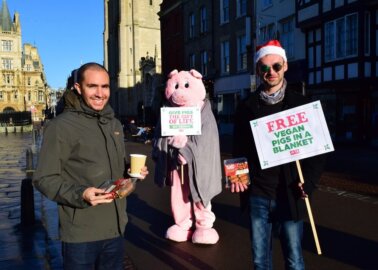 Christmas Come Early: A ‘Pig in Blankets’ Spreads Joy in Cambridge