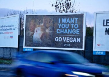 Billboard Urges the UK’s Least Vegan-Friendly City to ‘Change’