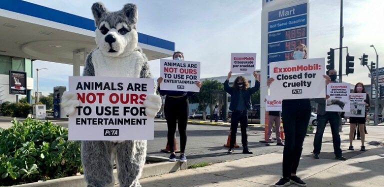 Exxon Demo Los-Angeles