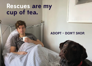 A DJ in PJs: Greg James Gives Adoption a Shout-Out in New PETA Campaign