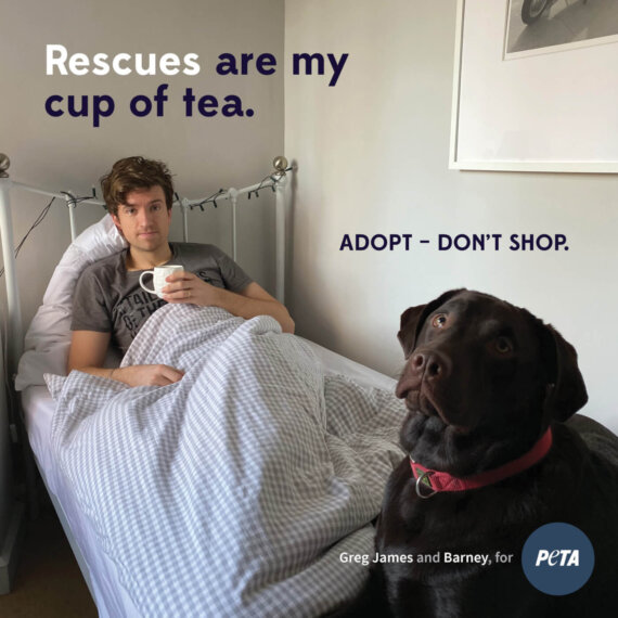 A DJ in PJs: Greg James Gives Adoption a Shout-Out
