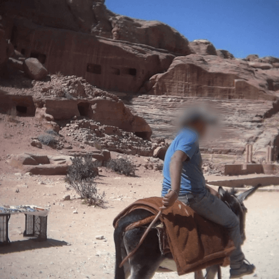 Help Stop the Suffering of Petra’s Horses, Donkeys, Mules, and Camels