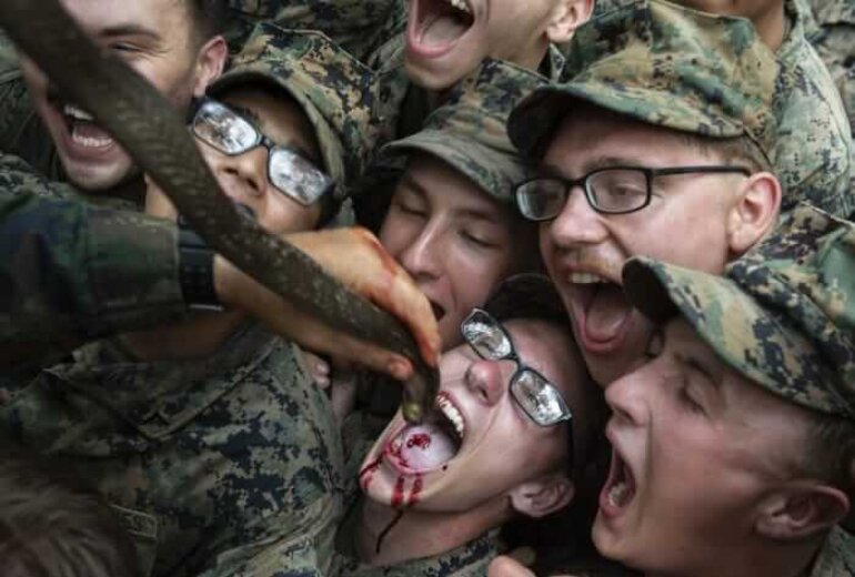 Military Troops Drinking Snake Blood