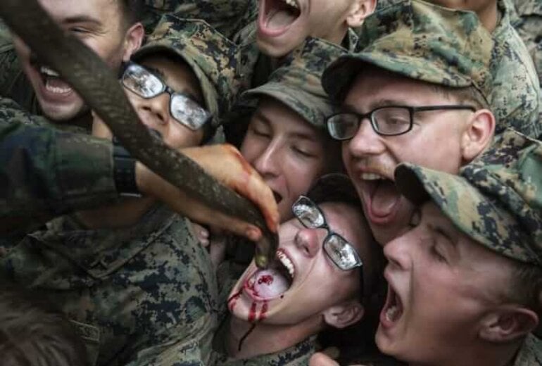 Military Troops Drinking Snake Blood