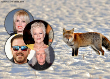 Celebrities and Animal Protection Groups Band Together for a #FurFreeBritain