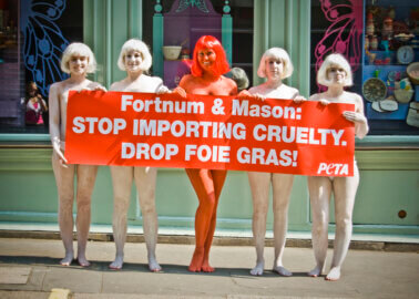 Victory! Fortnum & Mason Bans Foie Gras After Decade-Long Push