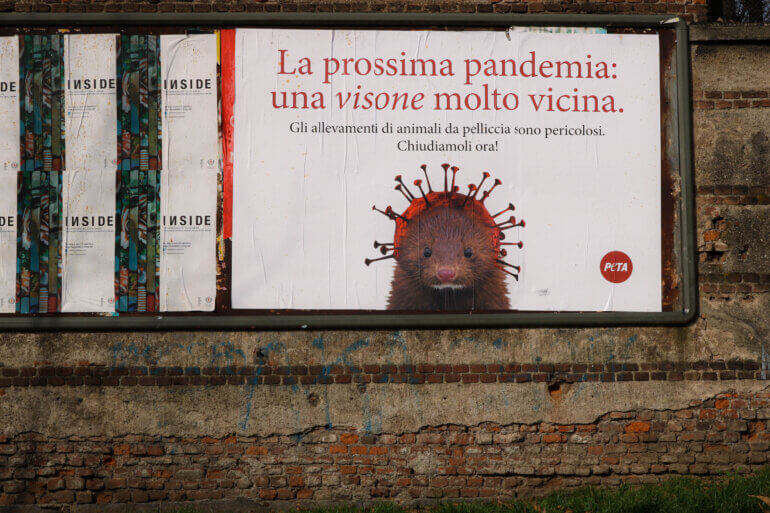 PETA Billboards Call For End to Fur Farming in Italy and Denmark