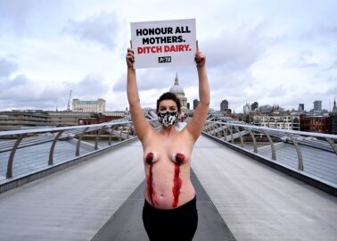 Pregnant PETA Supporter’s Nipples ‘Bleed’ in Dairy Industry Protest