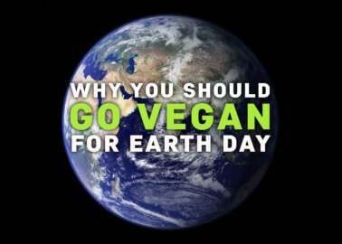 Earth Day 2024: 22 Reasons to Go Vegan on 22 April
