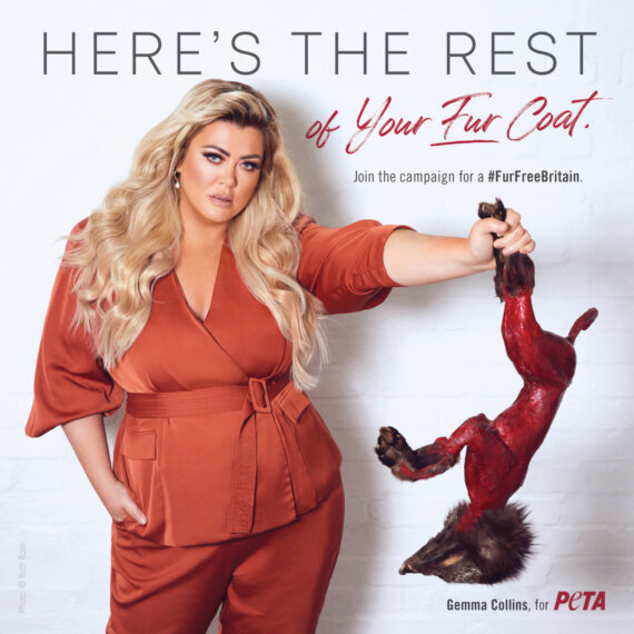 Gemma Collins Poses With ‘Skinned Fox’ in New PETA Campaign