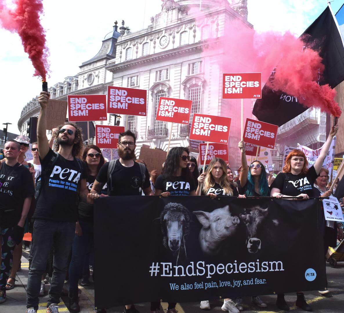 Animal Protection Groups United Against Anti-Protest Bill Animal Protection Groups United Against Anti-Protest Bill