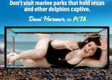 Dani Harmer Slates SeaWorld in New PETA Ad