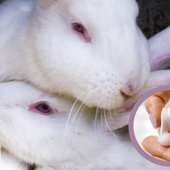 Save the Ban: Take Action Against Cosmetics Tests on Animals