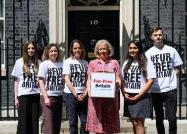 1 Million Petition Signatures Have Been Submitted to 10 Downing Street Calling For a #FurFreeBritain