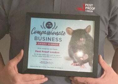 Big Heart for Mice: How Pest Proof London Earned a PETA Award