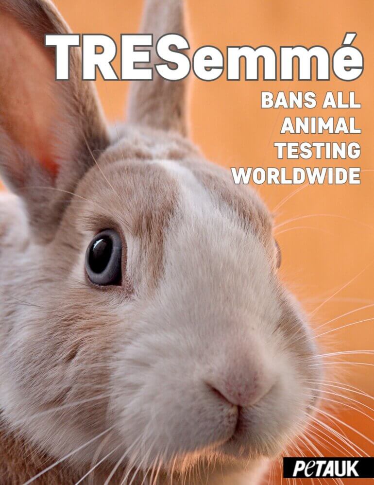 Exciting News! TRESemmé Bans All Animal Testing Worldwide