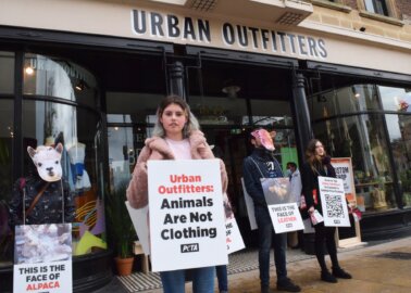 Why Did PETA Supporters Protest at Cambridge’s New Urban Outfitters Store?