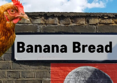 Would You Live on Banana Bread Lane?