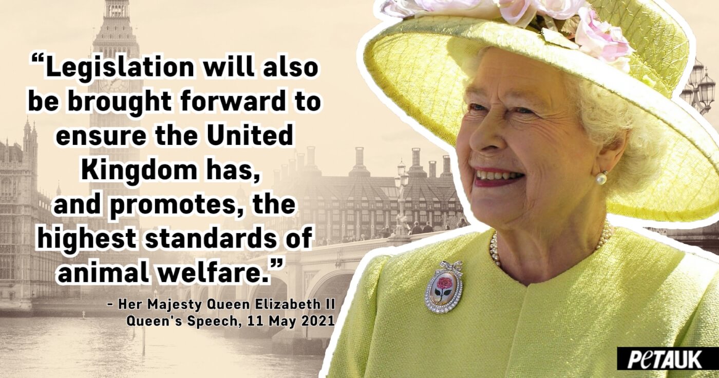 Image of Queen with quote: "Legislation will be brought forward to ensure the United Kingdom has, and promotes, the highest standards of animal welfare."