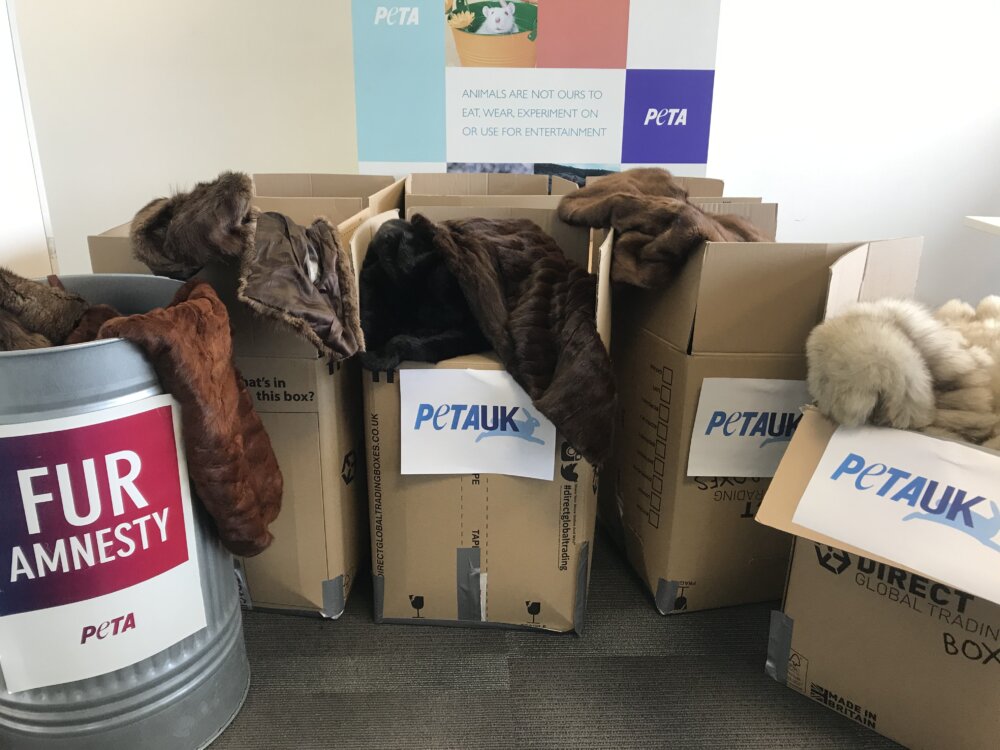 PETA Teams Up With ‘Life for Relief and Development’ to Give Unwanted