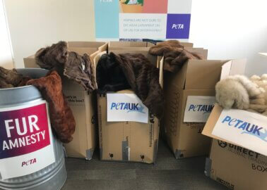 PETA Teams Up With ‘Life for Relief and Development’ to Give Unwanted Fur Coats to Those in Need