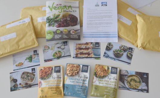 World Oceans Day giveaway