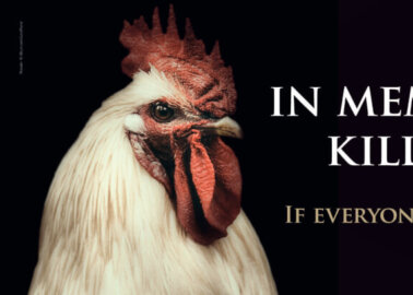 Memorial Billboard to Pay Tribute to 50,000 Chickens Killed in Driffield Fire