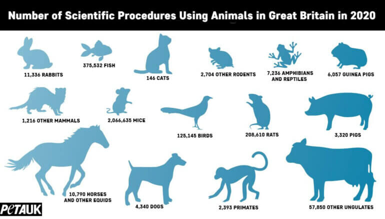  Million Procedures Using Animals Occurred in British Laboratories in  2020