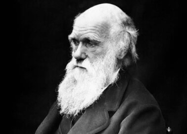 Charles Darwin’s Home: Could It Become PETA’s Animal Empathy Museum?