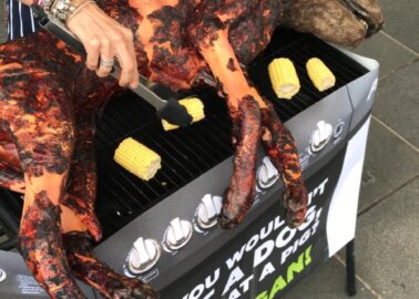 ‘Dog’ Barbecued by Vegans in Southampton