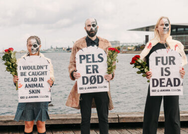 Painted Skeletons Storm Copenhagen Fashion Week With ‘Fur Is Dead’ Message
