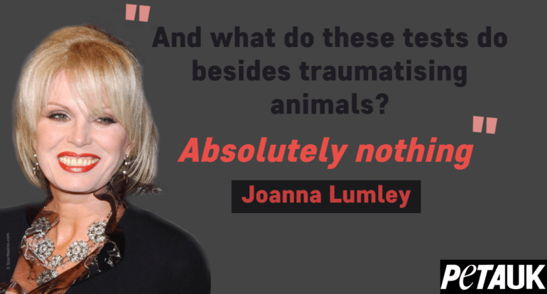 Joanna Lumley