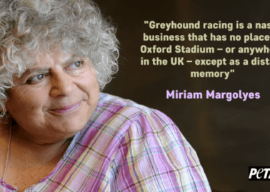 PETA’s Greyhound Racing Campaign Gains Miriam Margolyes’ Support