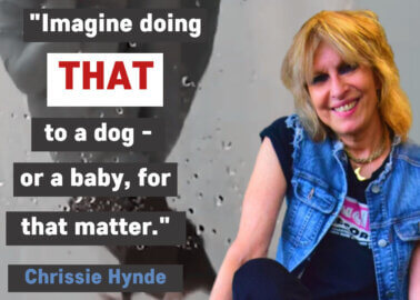 Chrissie Hynde ‘Horrified’ by University of Edinburgh’s Near-Drowning of Animals