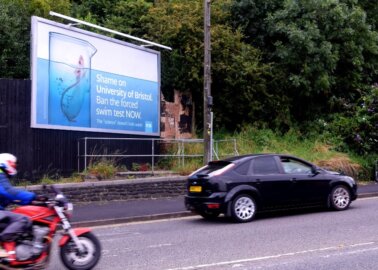 PETA Makes a Splash in Bristol With Drowning Rat Billboard