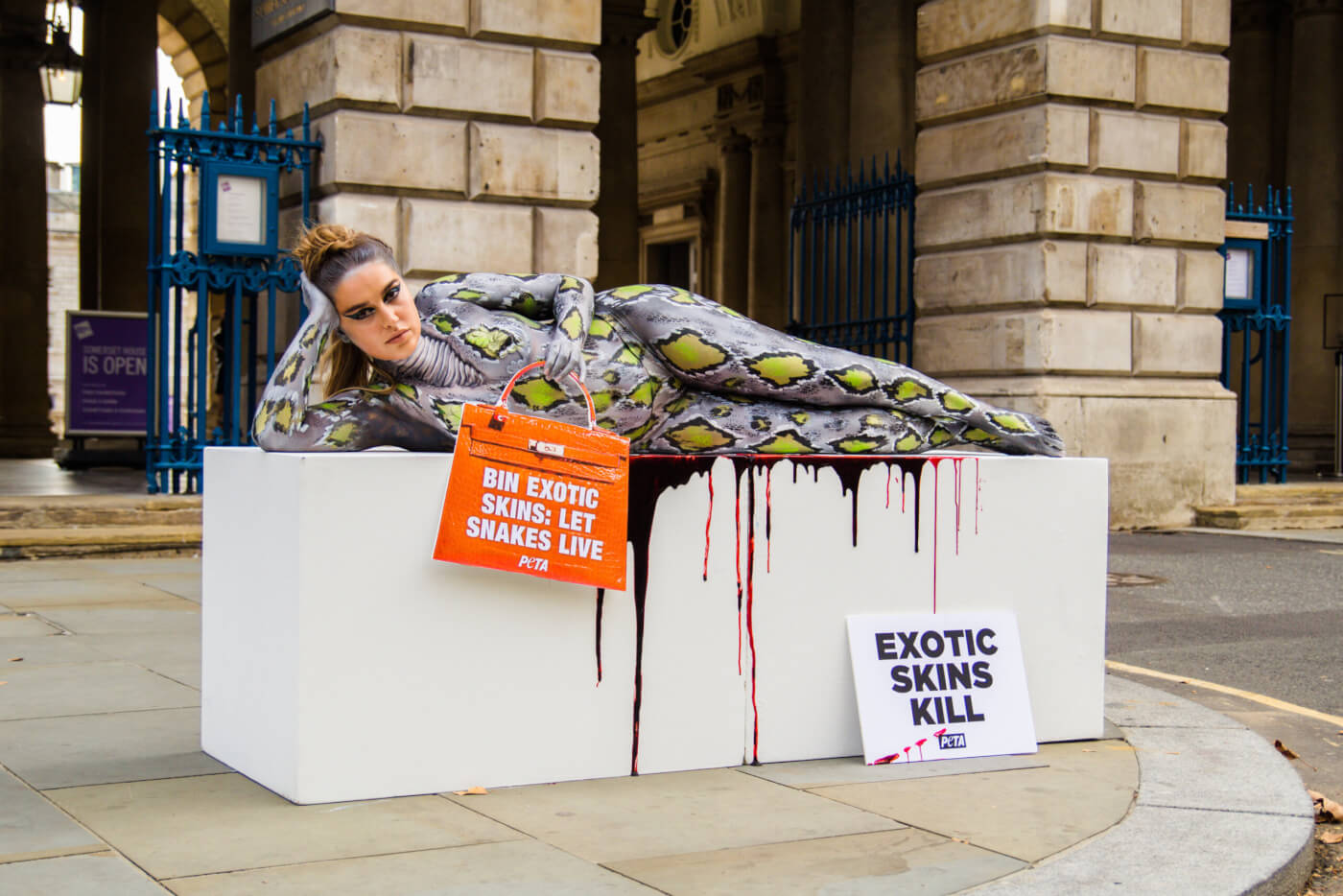 London Fashion Week Chloe Ross Dies for a Snakeskin Bag