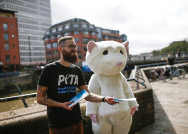 PETA ‘Rat’ Stands Against Bad Forced Swim Test Science