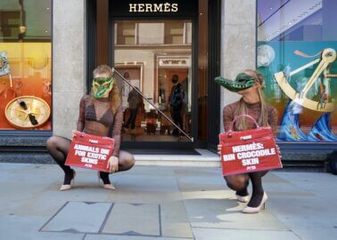 Hermès Store Hit With PETA ‘Crocodile’ Protesters