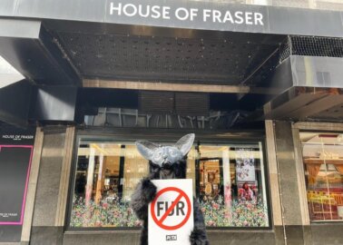 Who Was the Unexpected Guest at Frasers Group Annual Meeting? PETA US!