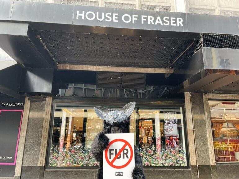 House of Fraser annual meeting Frasers Group protest 2