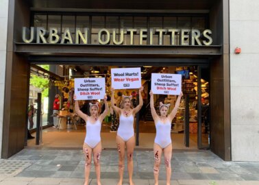 Wool Kills Sheep – Urban Outfitters Have Blood on Their Hands