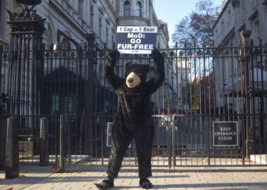 Will Boris Johnson Stop the MoD From Using the Fur of Slaughtered Canadian Bears for the Queen’s Guard’s Caps?