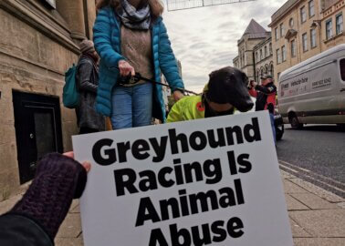 Greyhound Racing Is Animal Abuse, Oxford City Council