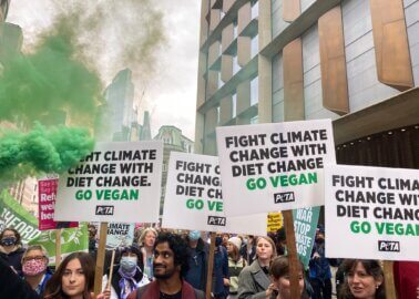 COP26 or COPOUT26? PETA Marches for a Vegan World