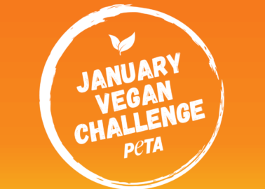 Try PETA’s January Vegan Challenge